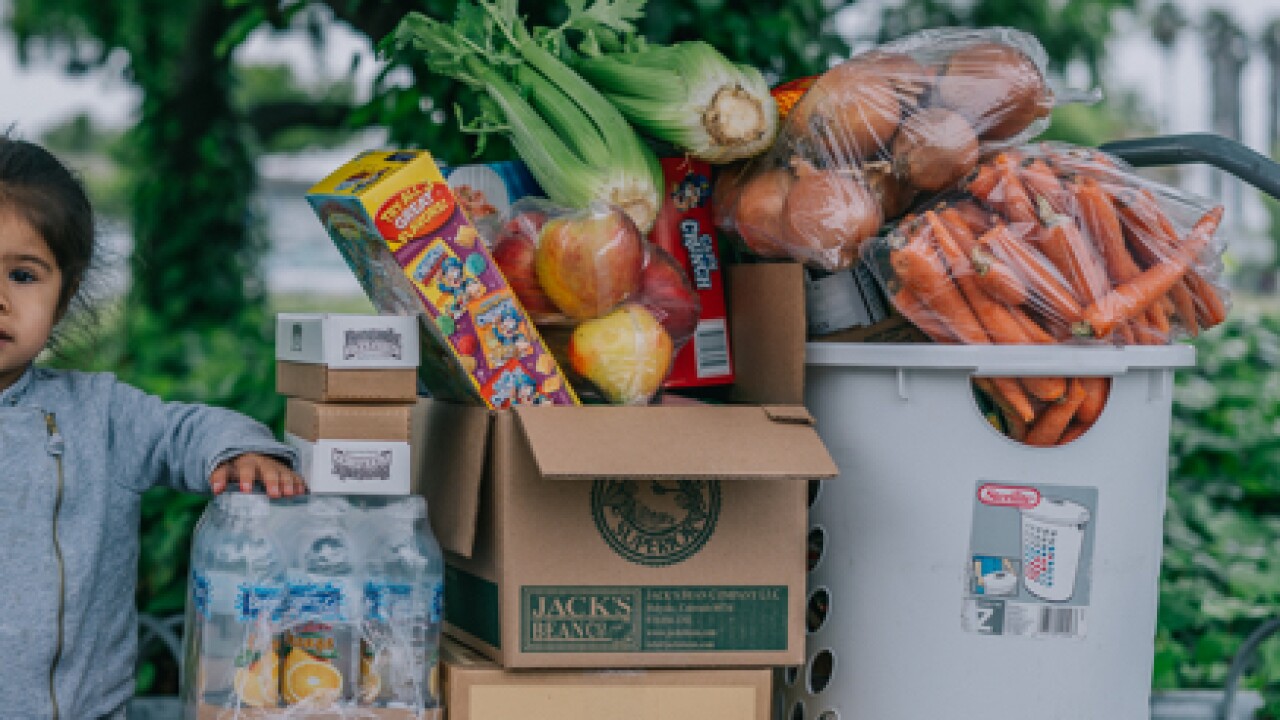 Georgia food donations