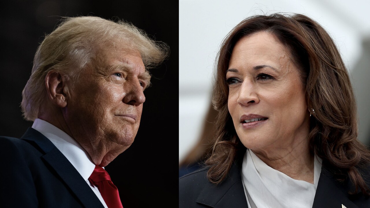 Donald Trump and Kamala Harris - facing pics