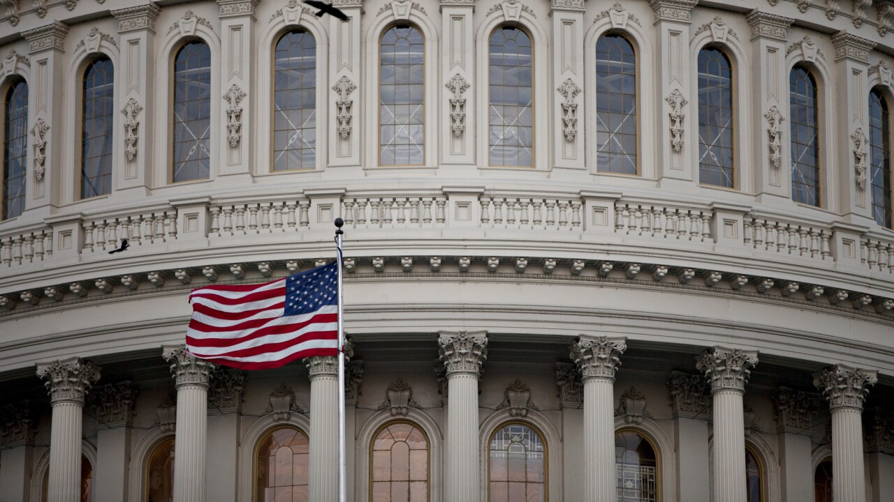 U.S. Capitol flag