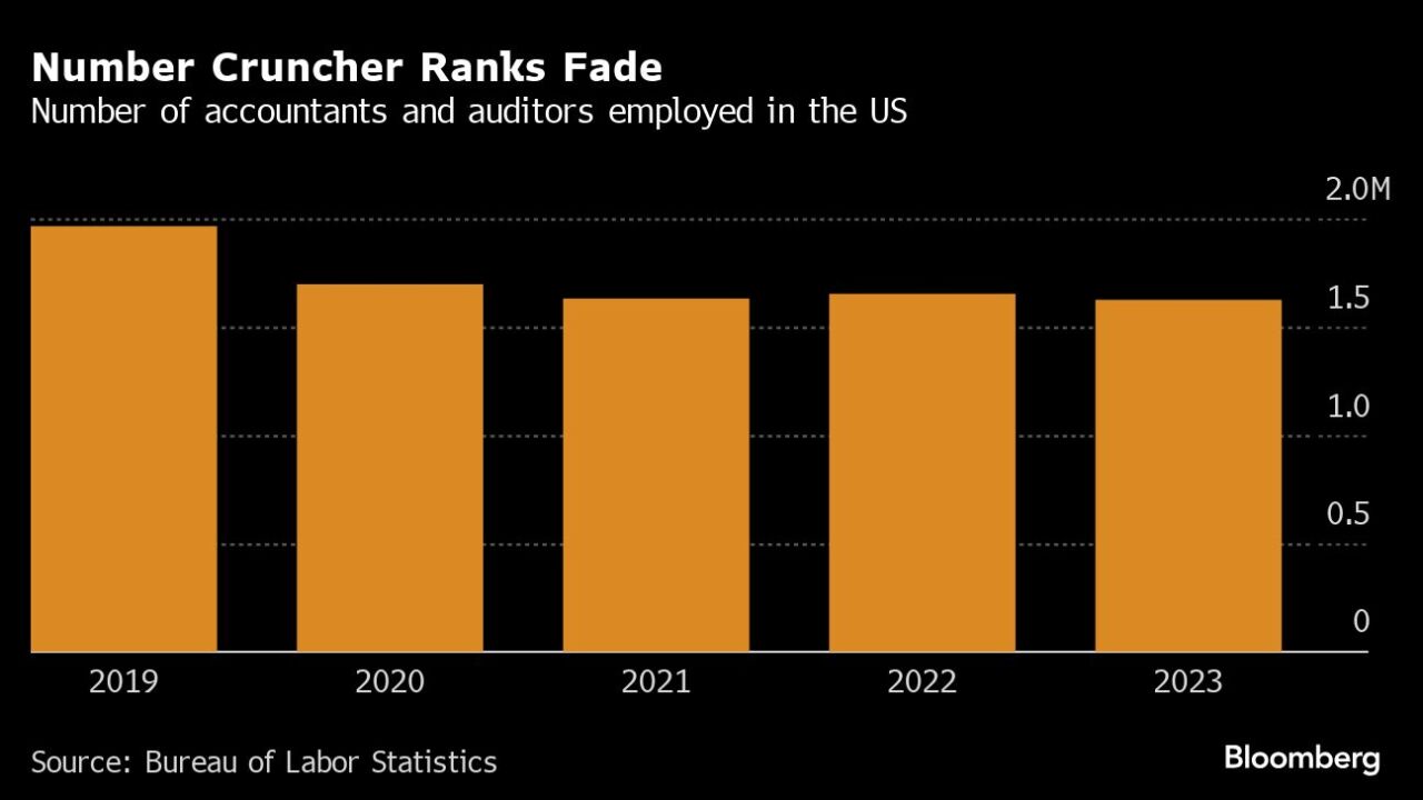 Accountants and auditors employed by year 